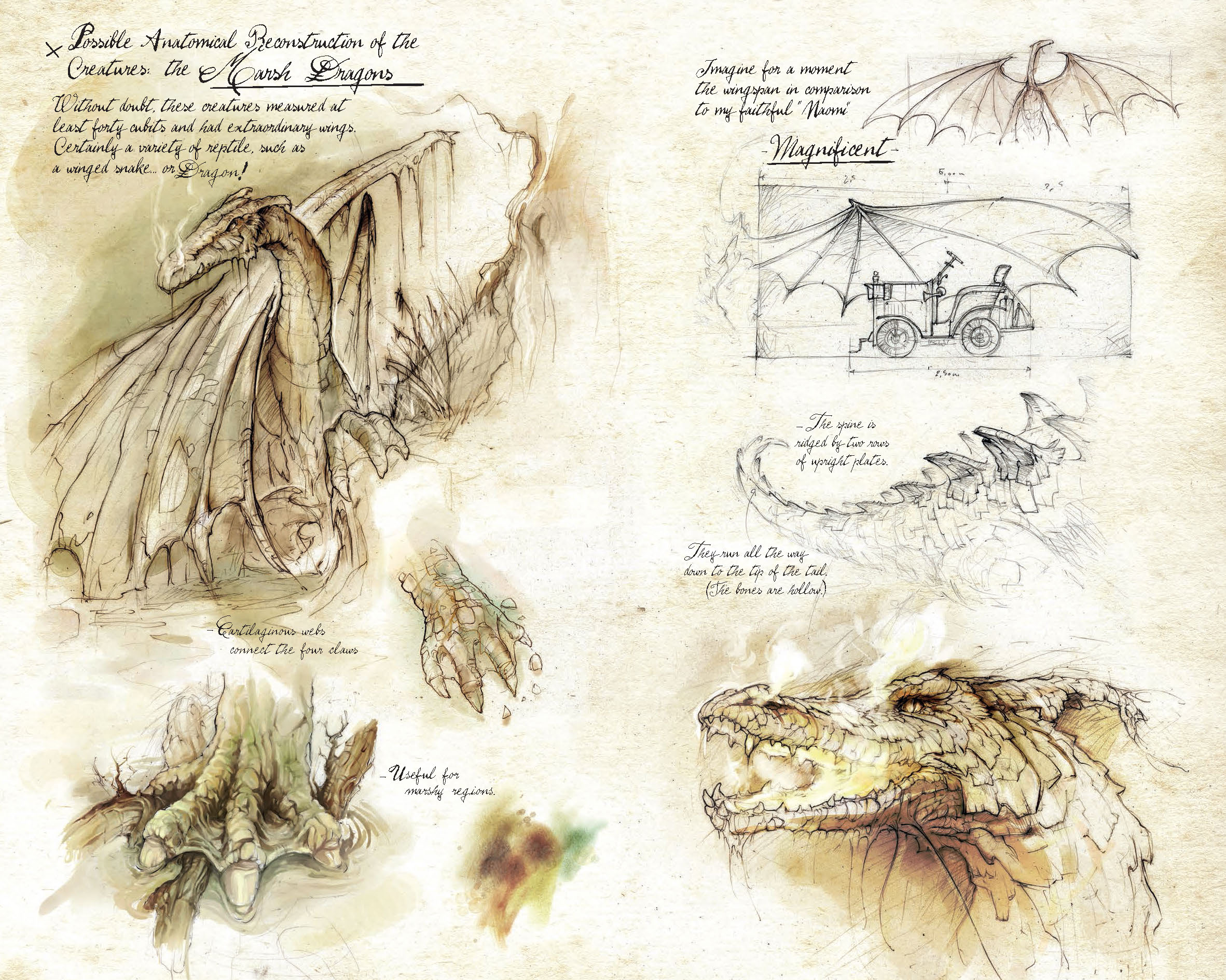 LostDragonsPreview_Page_04