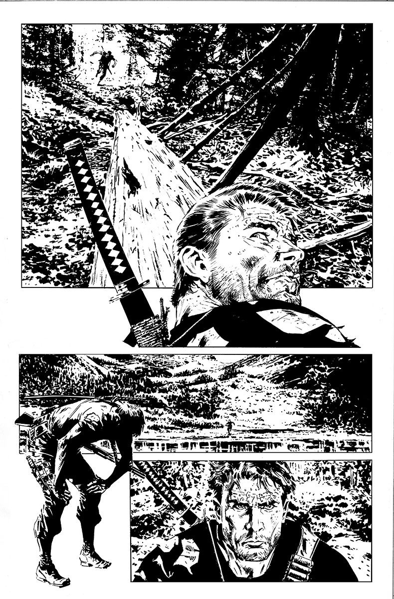 VALIANT_FCBD2015_001