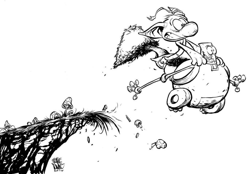 skottie